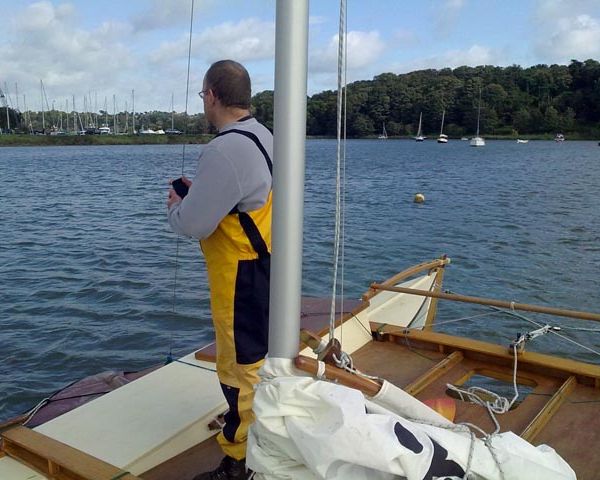 1552-cat in woodbridge