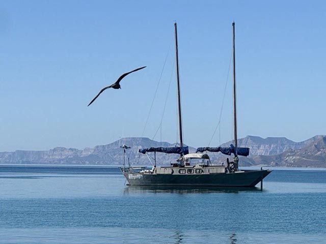 1462-0807 y